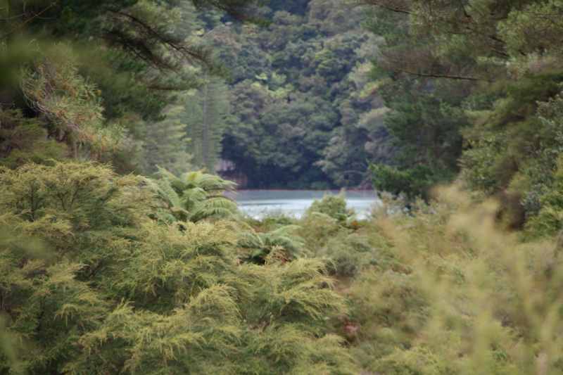 Nieuw-Zeeland 2011 - 0770